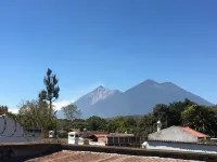 Feathers Hotel & Lounge