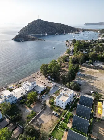 BEGONVİL GÜMÜŞLÜK