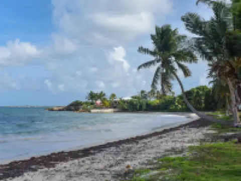 Lord Nelson Hotel & Residences Hotels in Osbourn