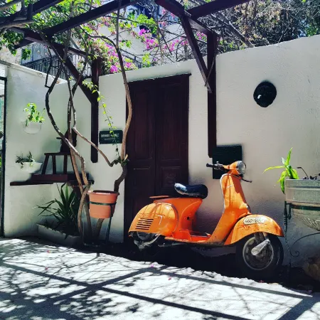 Tzefania Hotel Отели рядом с достопримечательностью «Могила Царя Давида»