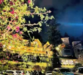 Sapa Pine Hill Eco Lodge