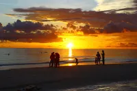 Siesta Key Palms - Beach