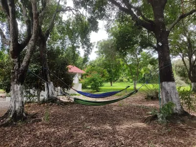 Arizona Ranch Hotel Hotels in 