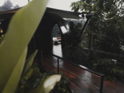 Bosko Hoteles en Guatapé