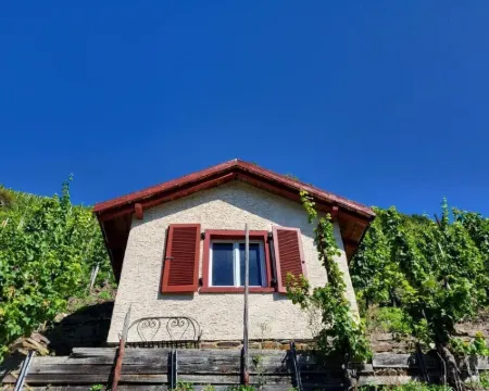 Ferienapartment Im Wingert für 2 Personen in den Ferienwohnungen Bullay, Mosel Hotels in Bullay