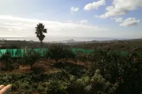 Quiet cottage in the middle of an orchard