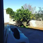 Funky cottage for 2, patio, garden, mountainview. Coast 14 km. Rota Vicentina. Hotels in Cercal do Alentejo