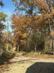 Tranquil Hideaway: Your Private Lakefront Retreat