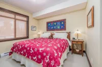 Family sized cozy ski-in/ski-out retreat w/ hot tub and stunning mountain views
