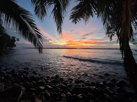 TREE FROG HOUSE: Waterfront, Caribbean Island Jungle Cabin in Bastimentos w/ AC Отели в г. Бастименто