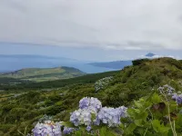 Spacious country house, idyllic garden, gorgeous ocean view, quiet yet central