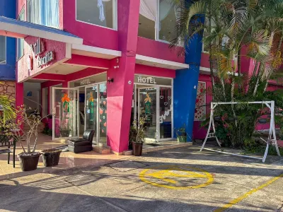 Hotel Villa Bonita Hotels in 