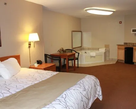 Edmore Inn Hotels in Edmore