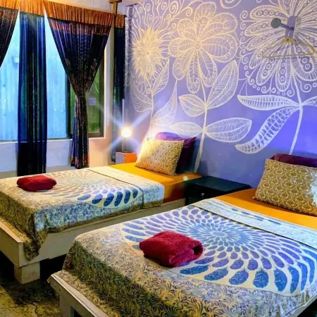 Casajungla Hostel