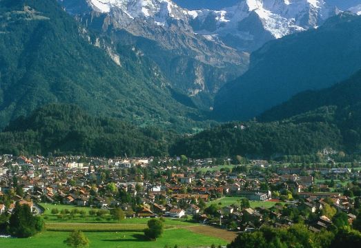 호텔 바이세스 크로이츠 인터라켄