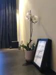 Museum Suites - Homestay