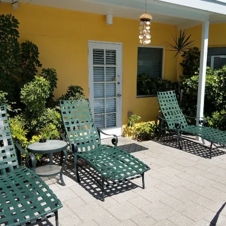 Alexander Palms Court