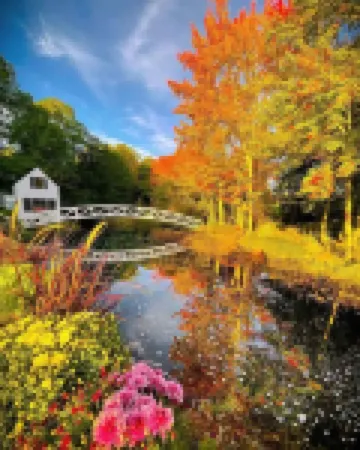 NEW!! Charming STUDIO with AC, WiFi & Fire Pit less than 3 MINUTES to Acadia.