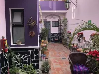 Olga Querida B&B Hostal Hotel in zona Stadio Jalisco