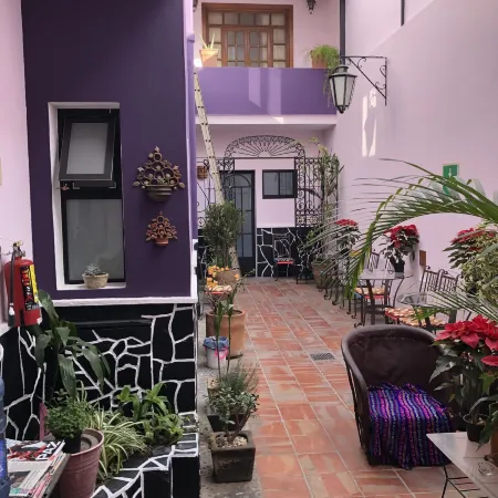 Olga Querida B&B Hostal