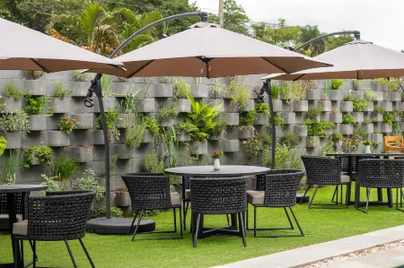 Pousada Flores do Carmo Отели в г. Pirenopolis