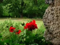 Agriturismo Colli di Travale