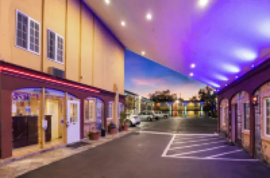 Sky Palm Motel - Orange