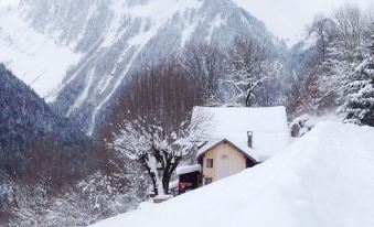 Chalet in Rossinière with Sauna and Mountain Views