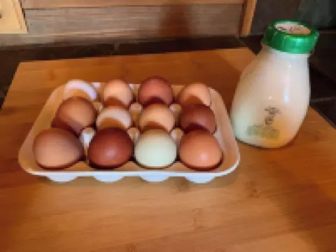 The Nest at Left Foot Farm.