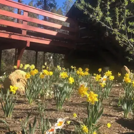 Ahwahnee-be Vintage Cabin - Three blocks to town!