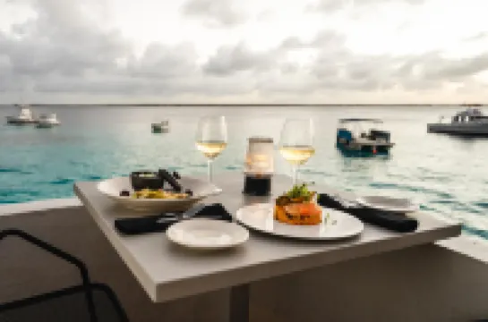 Captain Don's Habitat