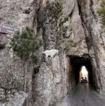 ⁂Near Downtown⁑Arcade Games⁑CoveredPorch⁑Foosball⁂