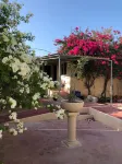 Beach front house for the whole family to enjoy at the safest place of Mexico ! - Homestays
