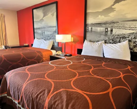 Super 8 by Wyndham Hattiesburg South Hotels in Forrest County