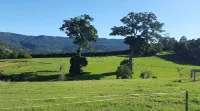 Farm "The Stockyards " 3 Bed Views Foxground.