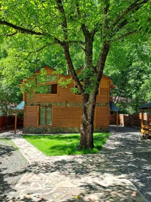 Borjomi in likani. National park of borjom kharagauli. Mountain forest hiking Отели в г. 