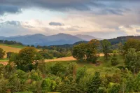 Squirrel Away Apartment Crieff - Boutique