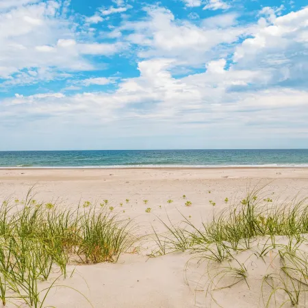 Loony Dunes