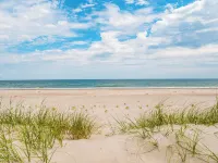 Loony Dunes - Ocean View
