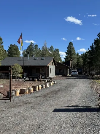 Cozy Cabin in the Pines!!! Close to the Polar Express, Grand Canyon, & Bearizona