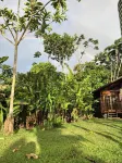 Tranquil Waterfall Studio, Oceanfront with Jungle Hiking and Starlink