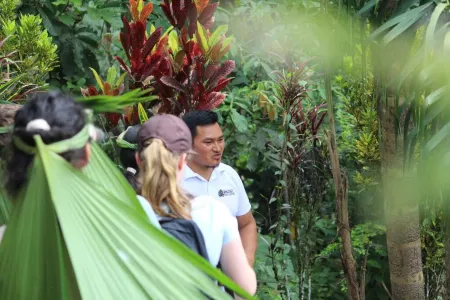 Unique ecolodge in the Amazon Rainforest - Connect with nature near Tena Отели в г. Арчидона