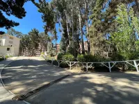 Hermoso y Acogedor Apartamento en el Tabo, Tranquilo y Agradable Hotels in El Tabo