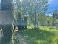 Cozy 4-bedroom cottage in enjoyable Elbe with WiFi on 16 wooded acres