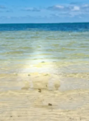 Upscale 2 bedroom beach front Villa