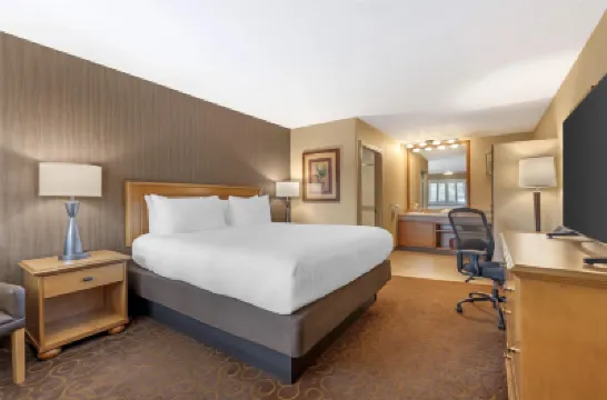 ベスト ウエスタン プラス パビリオンズ アナハイムのホテル