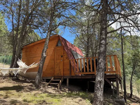 Glamping Moret Tiny House M1 Cabaña Para 2 Personas-pet Friendly