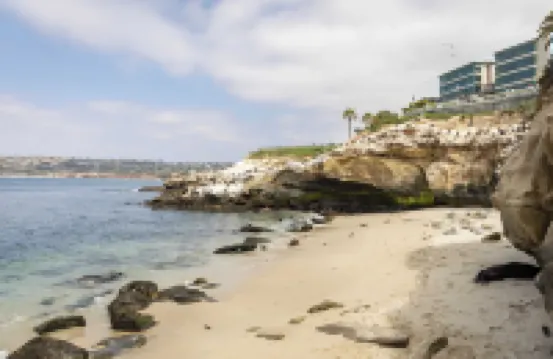 佐拉生活由Avantstay A+地點私人後院休息室