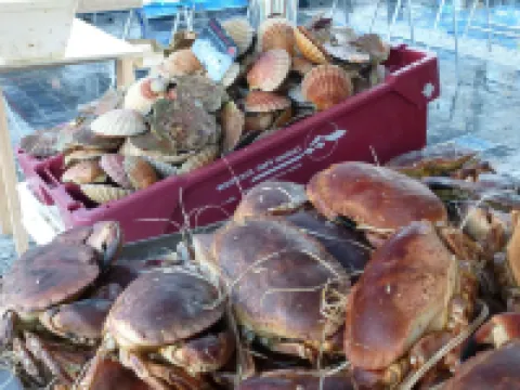 Stone House Pleumeur-Bodou near Pink Beaches 普勒默博杜住宿飯店