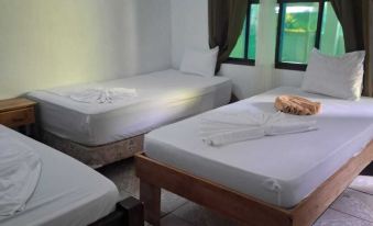 Cabinas Tortuguero Natural